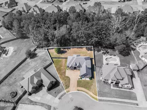 View/Area - 3629 Williams Brooke Ln, Hernando, MS 38632 photo 2 of 4