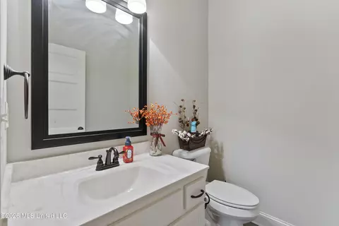 Other - 3629 Williams Brooke Ln, Hernando, MS 38632 photo 7 of 10