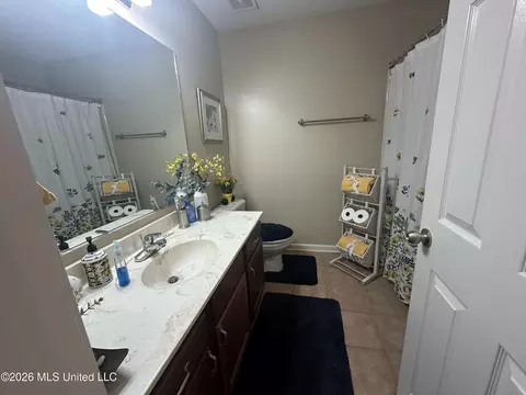 Bath - 10330 Loftin Dr, Olive Branch, MS 38654 photo 3 of 3
