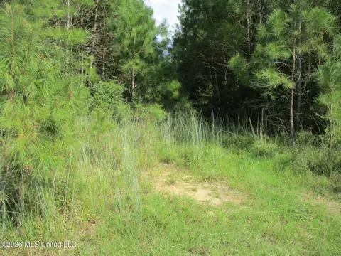Allen Trail, Carson, MS 39427 photo 8