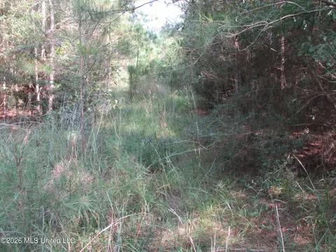Allen Trail, Carson, MS 39427 photo 5