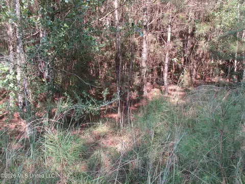 Allen Trail, Carson, MS 39427 photo 6