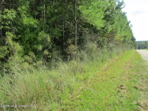 Allen Trail, Carson, MS 39427 photo 9