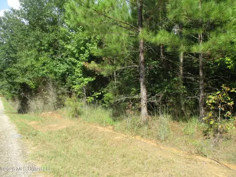 Allen Trail, Carson, MS 39427 photo 2