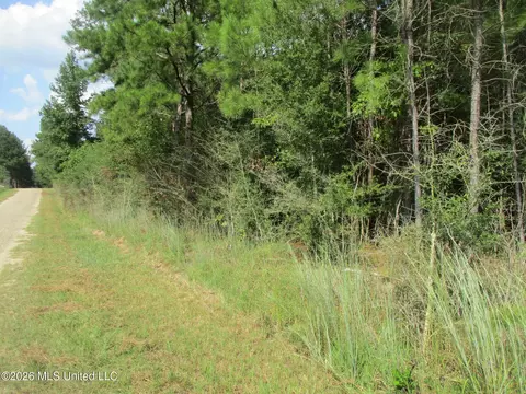 Allen Trail, Carson, MS 39427 photo 7