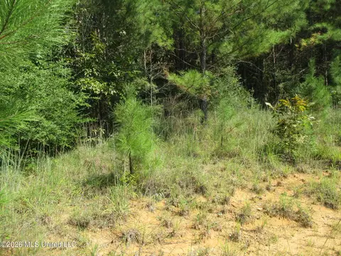Allen Trail, Carson, MS 39427 photo 3