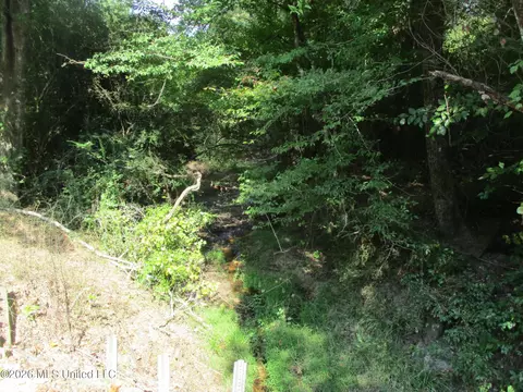 Allen Trail, Carson, MS 39427 photo 4