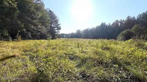 Cephas Smith Lane, Jayess, MS 39641 photo 12
