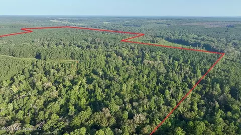 Cephas Smith Lane, Jayess, MS 39641 photo 4