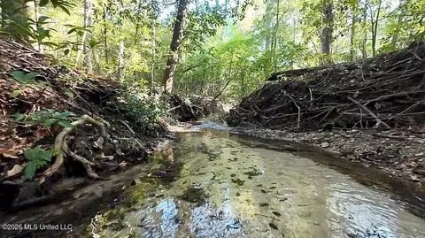 Cephas Smith Lane, Jayess, MS 39641 photo 14