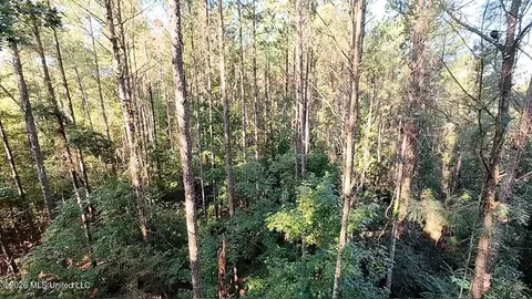 Cephas Smith Lane, Jayess, MS 39641 photo 11