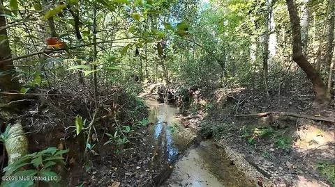 Cephas Smith Lane, Jayess, MS 39641 photo 15