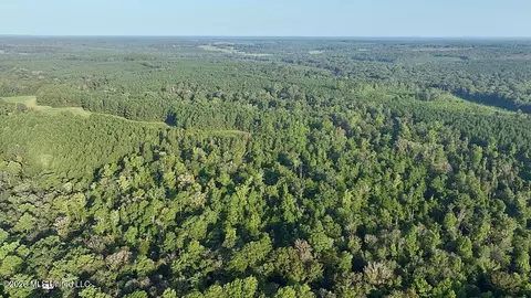 Cephas Smith Lane, Jayess, MS 39641 photo 5