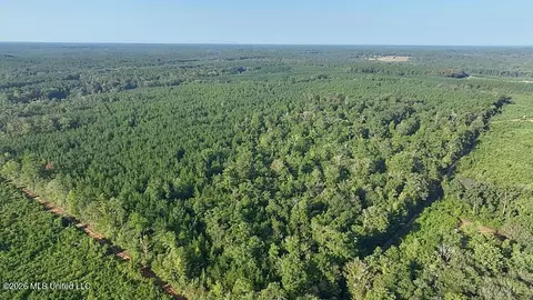 Cephas Smith Lane, Jayess, MS 39641 photo 21
