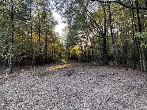 Howard Street, Marks, MS 38646 photo 57