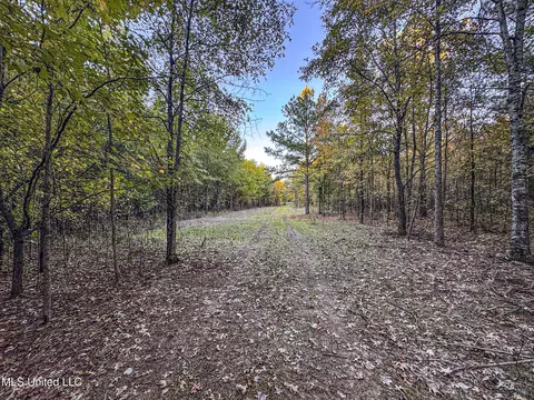 Howard Street, Marks, MS 38646 photo 66