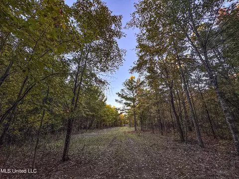 Howard Street, Marks, MS 38646 photo 67