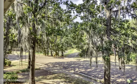 Other - 30 Moss Forest Cir, Jackson, MS 39211 photo 2 of 18