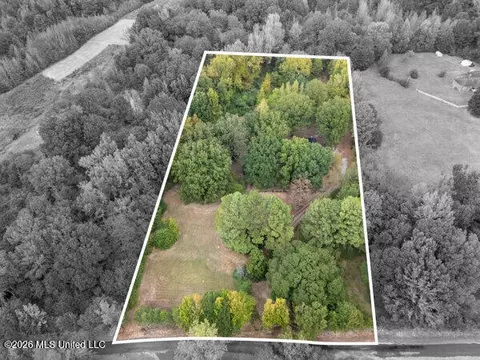 Other - 309 Wallace Dr, Coldwater, MS 38618 photo 8 of 10