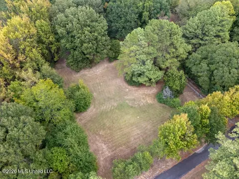 Other - 309 Wallace Dr, Coldwater, MS 38618 photo 10 of 10