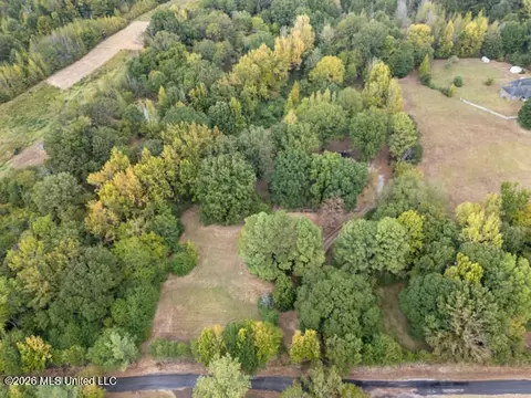 Other - 309 Wallace Dr, Coldwater, MS 38618 photo 9 of 10