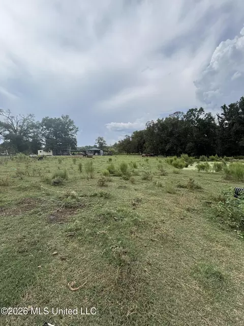 10887 Ms-18, Magee, MS 39111 photo 54