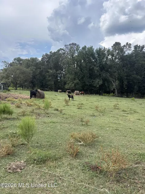 10887 Ms-18, Magee, MS 39111 photo 52