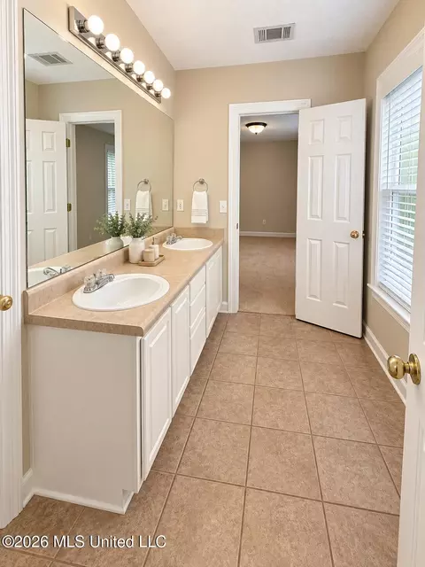 Bath - 6 Foxcroft Ct, Madison, MS 39110 photo 4 of 5