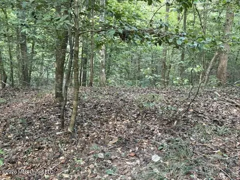 Smith County Road 581, Raleigh, MS 39153 photo 6