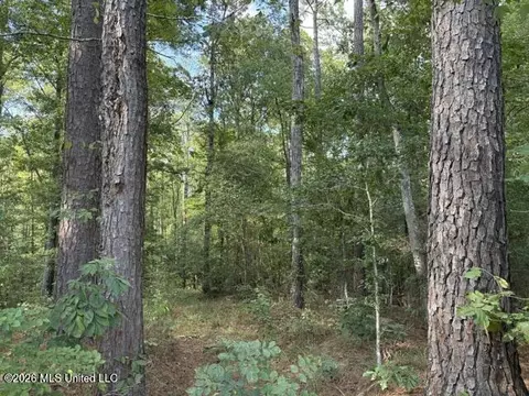 Smith County Road 581, Raleigh, MS 39153 photo 7