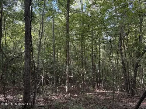 Smith County Road 581, Raleigh, MS 39153 photo 8