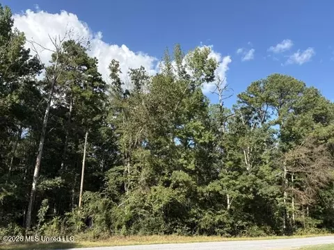 Smith County Road 581, Raleigh, MS 39153 photo 3