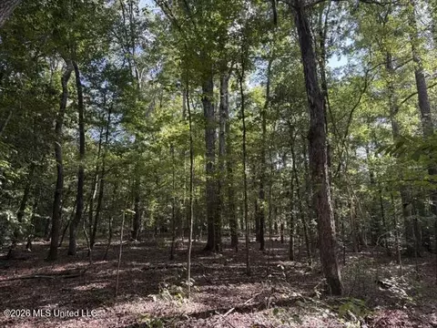 Smith County Road 581, Raleigh, MS 39153 photo 5