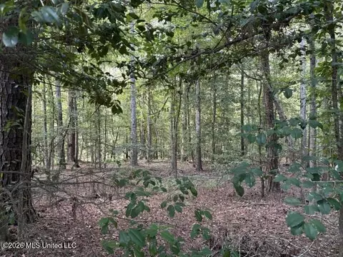Smith County Road 581, Raleigh, MS 39153 photo 2