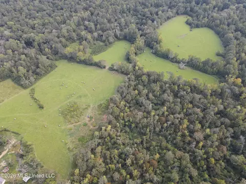 Busby Trail, Brookhaven, MS 39601 photo 12