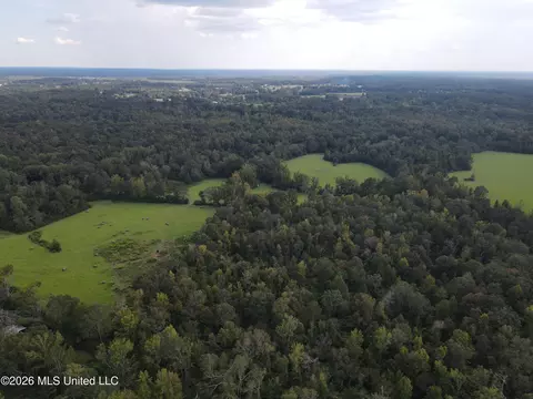 Busby Trail, Brookhaven, MS 39601 photo 3