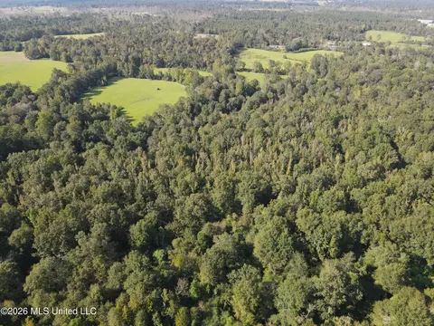 Busby Trail, Brookhaven, MS 39601 photo 15