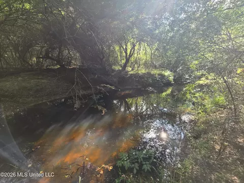 Busby Trail, Brookhaven, MS 39601 photo 22