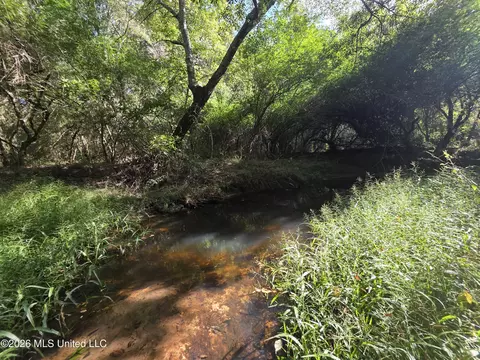 Busby Trail, Brookhaven, MS 39601 photo 24