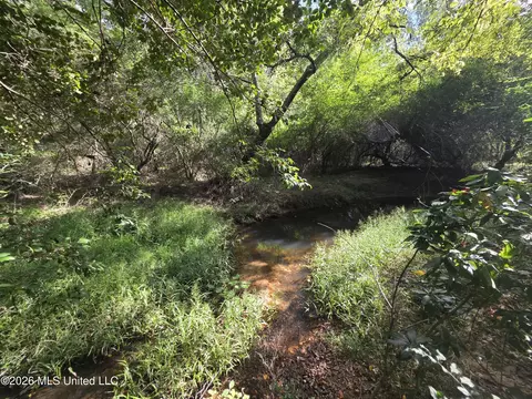Busby Trail, Brookhaven, MS 39601 photo 23