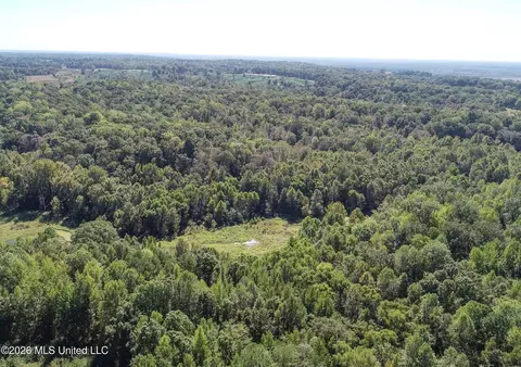 173 Cascilla Rd, Cascilla, MS 38920 photo 12