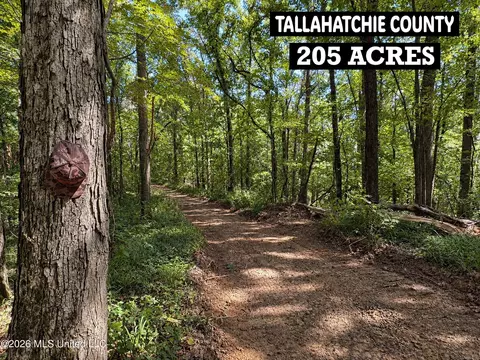 173 Cascilla Rd, Cascilla, MS 38920 photo 68