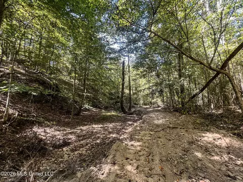 173 Cascilla Rd, Cascilla, MS 38920 photo 60