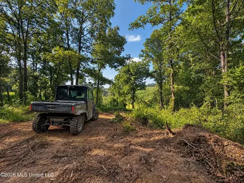 173 Cascilla Rd, Cascilla, MS 38920 photo 52