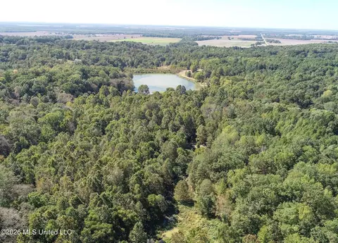 173 Cascilla Rd, Cascilla, MS 38920 photo 11