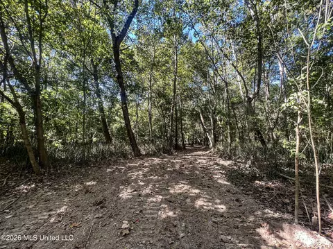 173 Cascilla Rd, Cascilla, MS 38920 photo 61