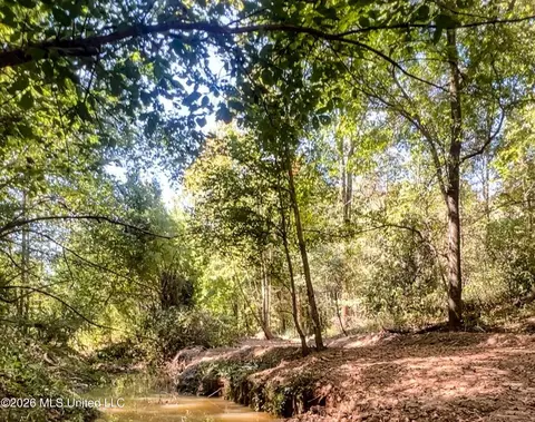 173 Cascilla Rd, Cascilla, MS 38920 photo 66
