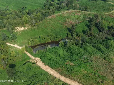 173 Cascilla Rd, Cascilla, MS 38920 photo 38