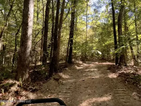 173 Cascilla Rd, Cascilla, MS 38920 photo 27
