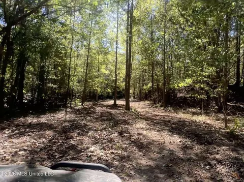173 Cascilla Rd, Cascilla, MS 38920 photo 25